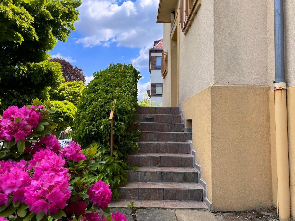 Kleines Studio Am Uni-Campus - Perfekt Fuer Junge Unternehmungslustige Dresda Exterior foto